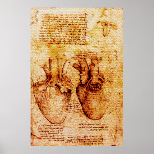 Affiches Cœur, Ses vaisseaux sanguins, Léonard de Vinci Bru