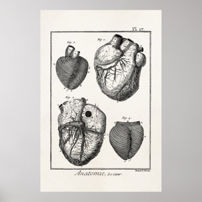 Affiches Coeurs cardiaques rétro Cardiac des années 1800 vi (Devant)