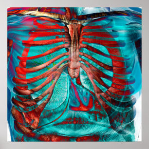 Affiches Coffre humain