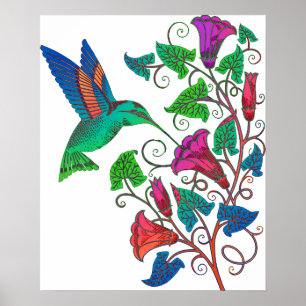 Affiches Colibri arc-en-ciel