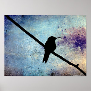 Affiches Colibri de Grunge