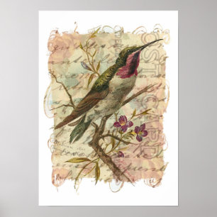 Affiches Colibri vintage