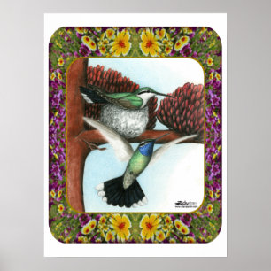 Affiches Colibris et Fleurs #3