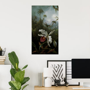 Affiches Colibris et orchidée blanche par Martin J. Heade