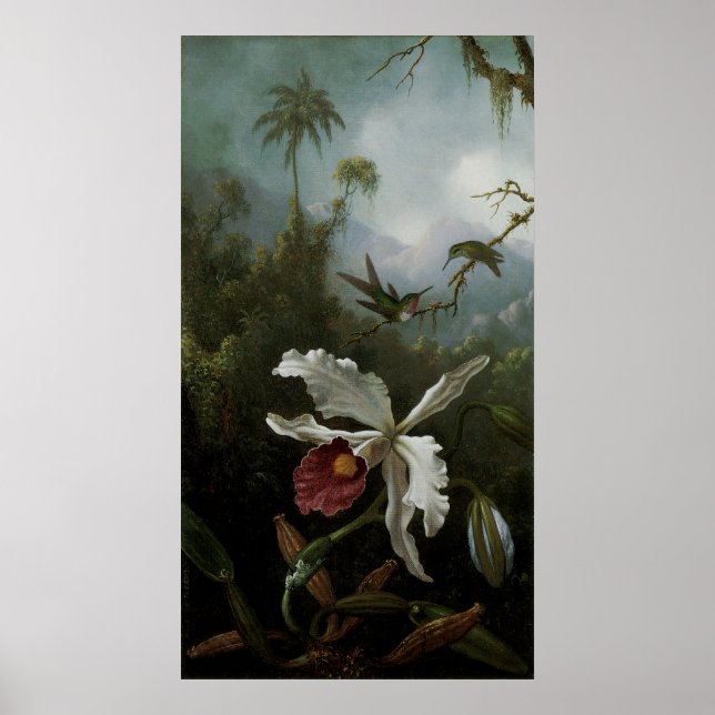 Affiches Colibris et orchidée blanche par Martin J. Heade (Devant)