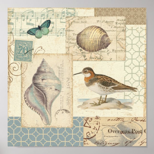 Affiches Collage de coquillages (Devant)