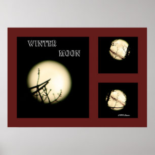 Affiches Collage de la lune d'hiver