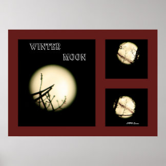 Affiches Collage de la lune d'hiver