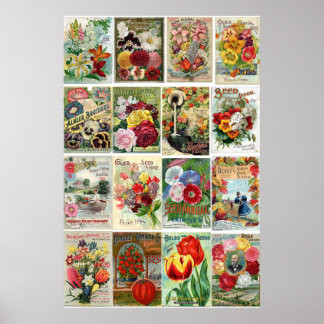 Affiches Collage des catalogues de semences de fleurs vinta