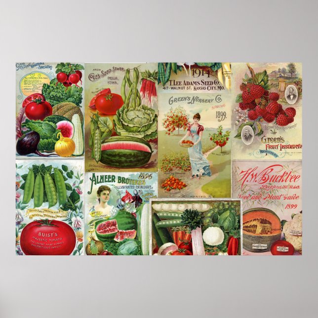Affiches Collage du catalogue des semences de fruits et de  (Devant)