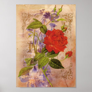 Affiches Collage numérique Vintage Florals