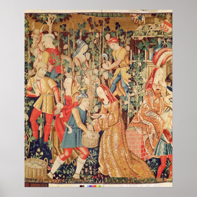 Affiches Collecte de raisins, détail de la récolte de raisi (Devant)