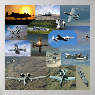 Affiches Collection de Warthog