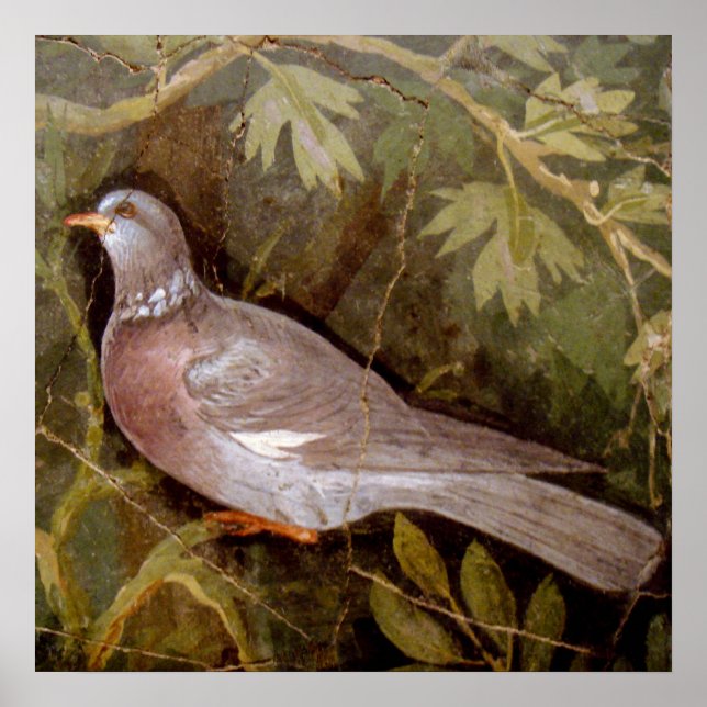 AFFICHES COLLECTION POMPEII / DOVE DANS LE JARDIN (Devant)