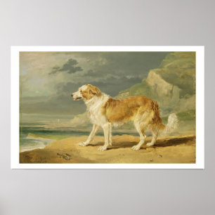 Affiches Collie rough coated, 1809 (oil on board)