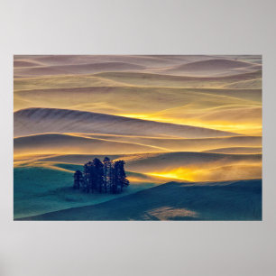 Affiches Collines ondoyantes de blé au lever du soleil WA