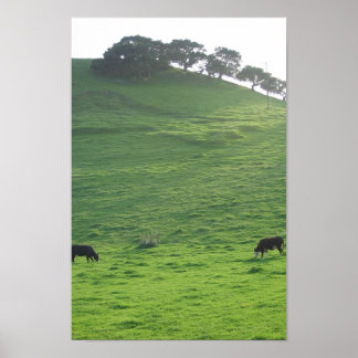 Affiches Collines sur 227