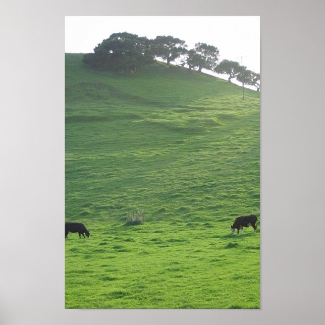 Affiches Collines sur 227 (Devant)