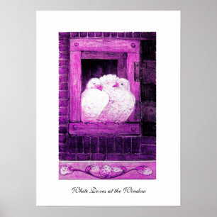 Affiches COLOMBES BLANCHES À LA FENÊTRE, rose violet pourpr