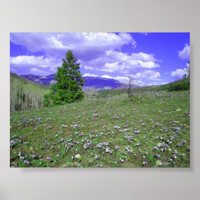 Affiches Colonne (Devant)