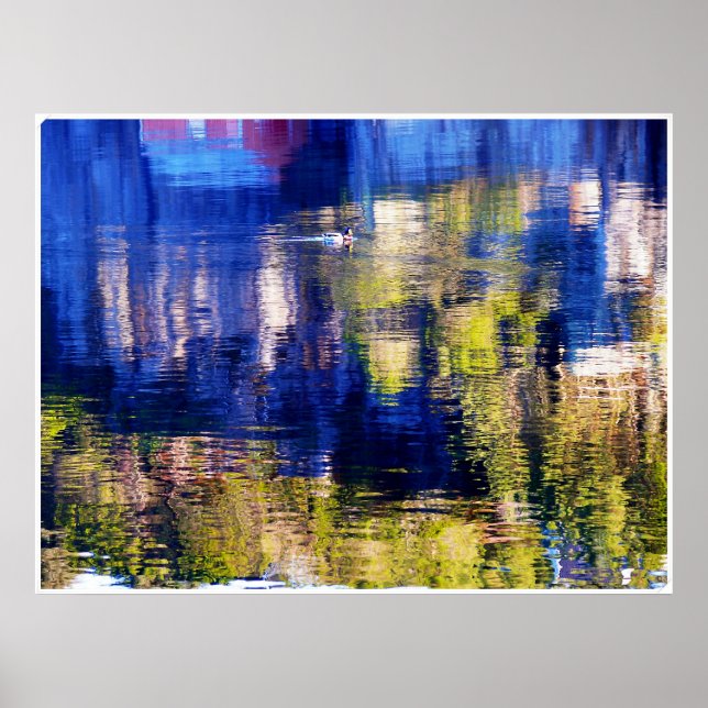 Affiches color swim (Devant)