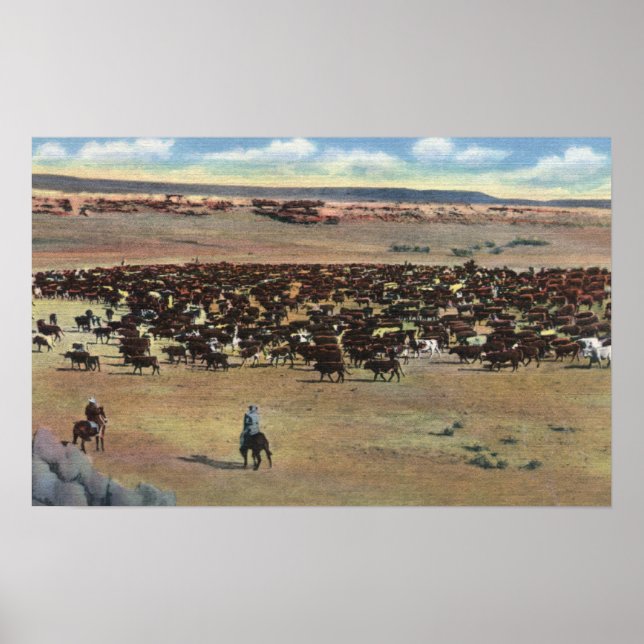 Affiches Colorado - Arrondissement de Cowboys (Devant)