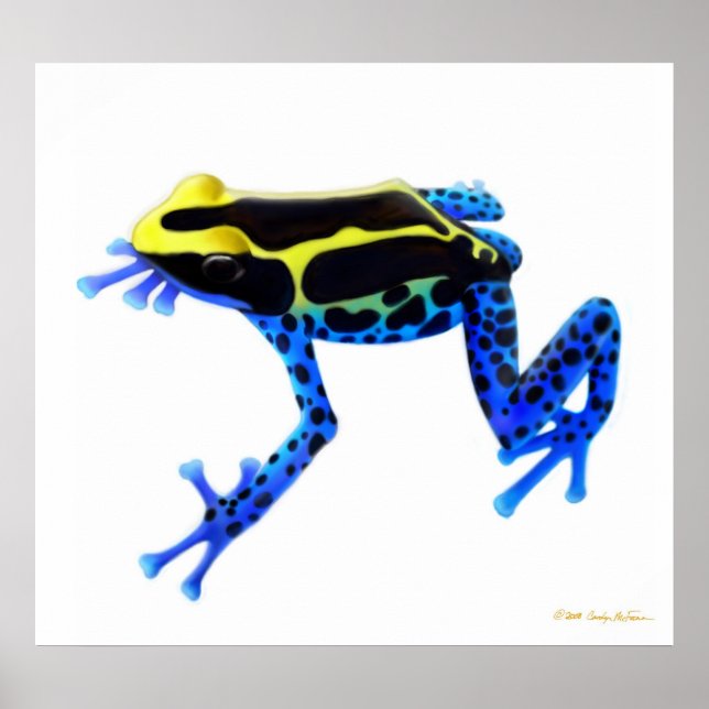 Affiches Colorée Teinture Poison Frog Imprimer (Devant)