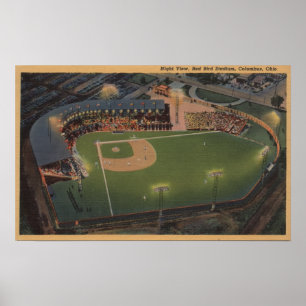 Affiches Columbus, OH - antenne de base-ball rouge d'oiseau