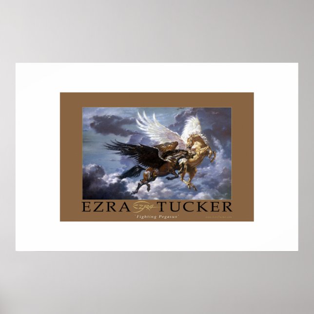Affiches Combattre le pégase (Devant)
