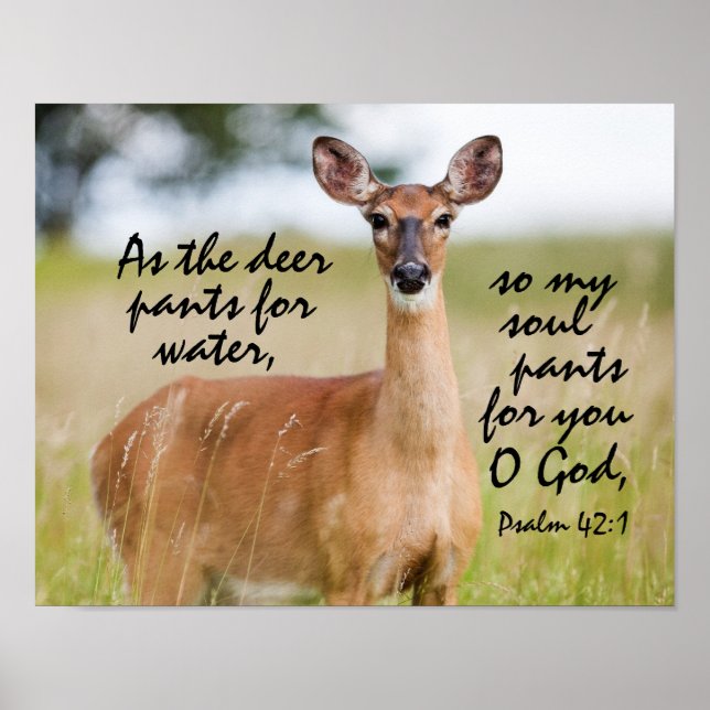 Affiches Comme le pantalon de cerf pour l'eau Bible Verse P (Devant)