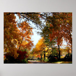 Affiches COMMENCER AU-DESSOUS DE $20 - rue de village en