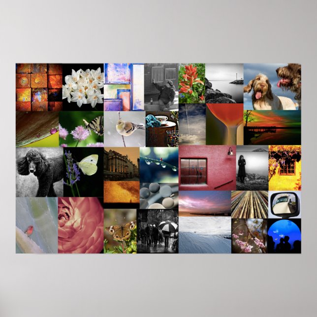 Affiches Comment On Le Voit On Aime Lee Daniels (Devant)