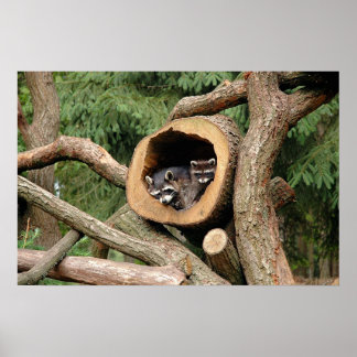 Affiches Compagnie de deux