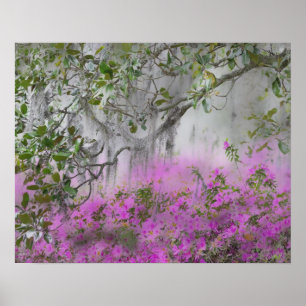 Affiches Composite numérique d'azalées et d'arbre magnolia