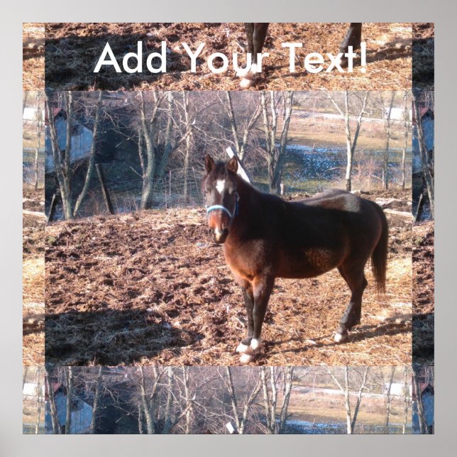 Affiches Comté de Brown Farm Horse Raleigh (Devant)