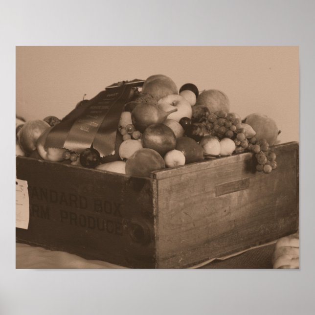 Affiches Comté Fair Bleu Ruban Premier Prix Fruit À Sepia (Devant)