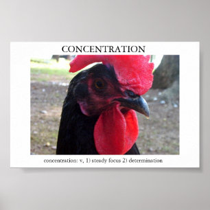 Affiches Concentration