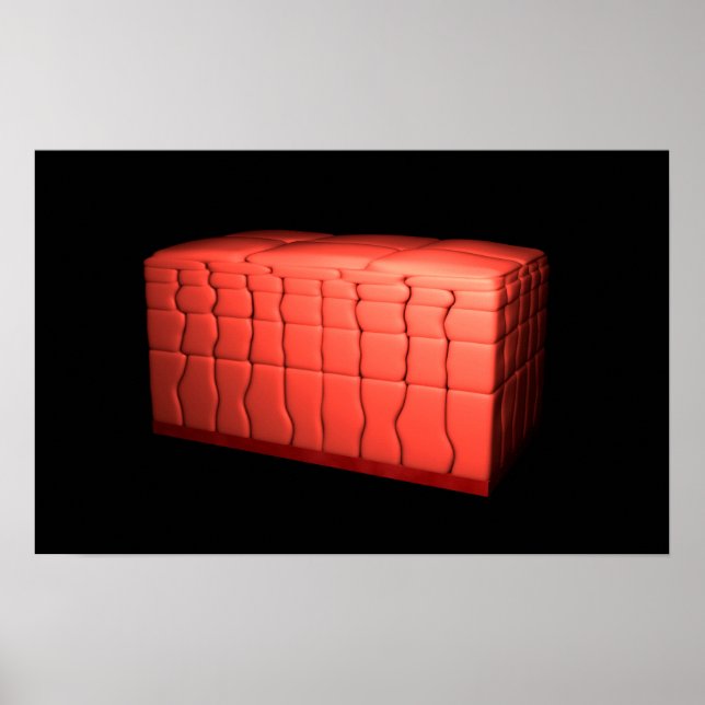 Affiches Concept De Stratifié Squamous Epithelium 1 (Devant)