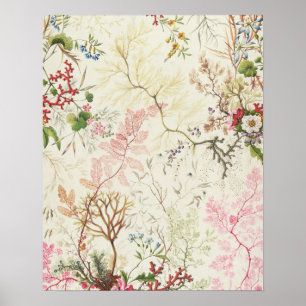 Affiches Conception d'algues pour le matériel de soie (p/c