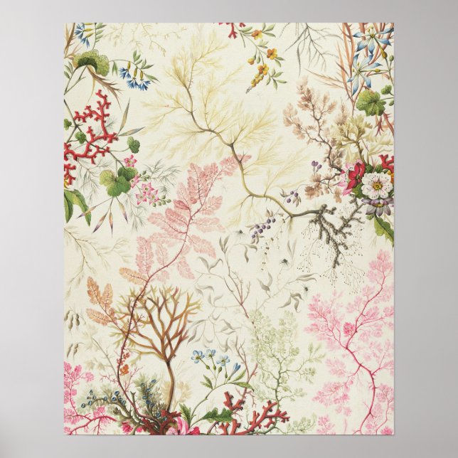 Affiches Conception d'algues pour le matériel de soie (p/c  (Devant)