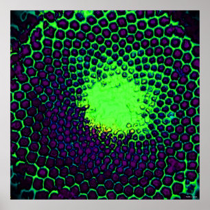 Affiches Conception de nid d'abeille abstrait vert et viole