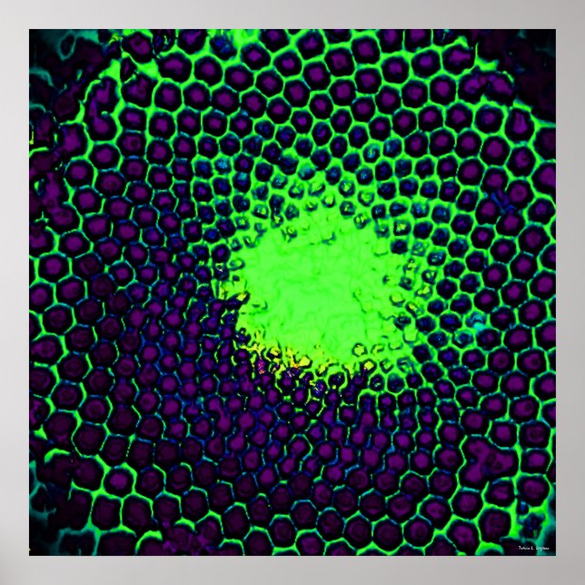 Affiches Conception de nid d'abeille abstrait vert et viole (Devant)