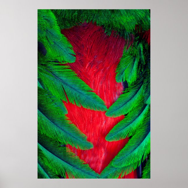 Affiches Conception de plume de Quetzal resplendissant (Devant)