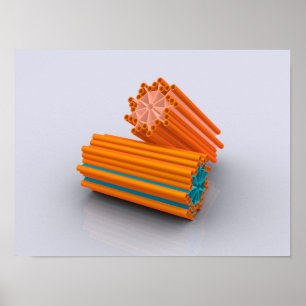 Affiches Conceptual Image Of Centrioles 2