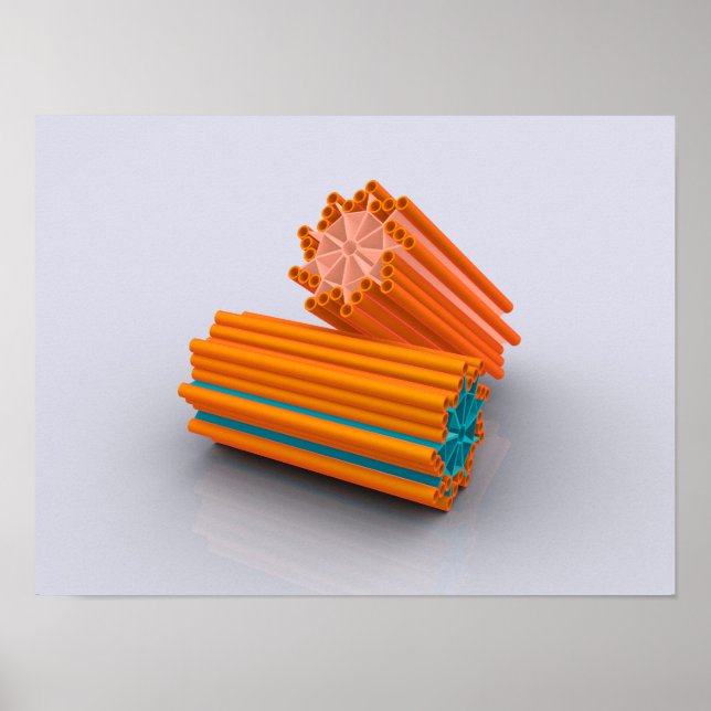 Affiches Conceptual Image Of Centrioles 2 (Devant)