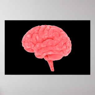 Affiches Conceptual Image Of Human Brain 4