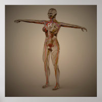 Conceptual Image Of Human Nervous System 2