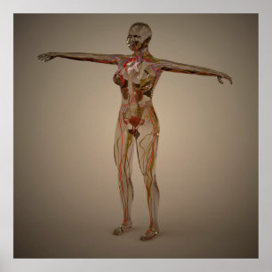 Affiches Conceptual Image Of Human Nervous System 2