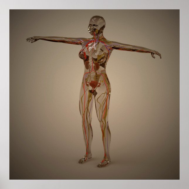 Affiches Conceptual Image Of Human Nervous System 2 (Devant)