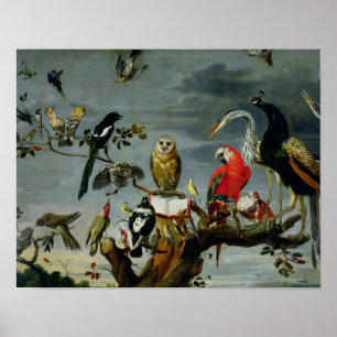 Affiches Concert des oiseaux